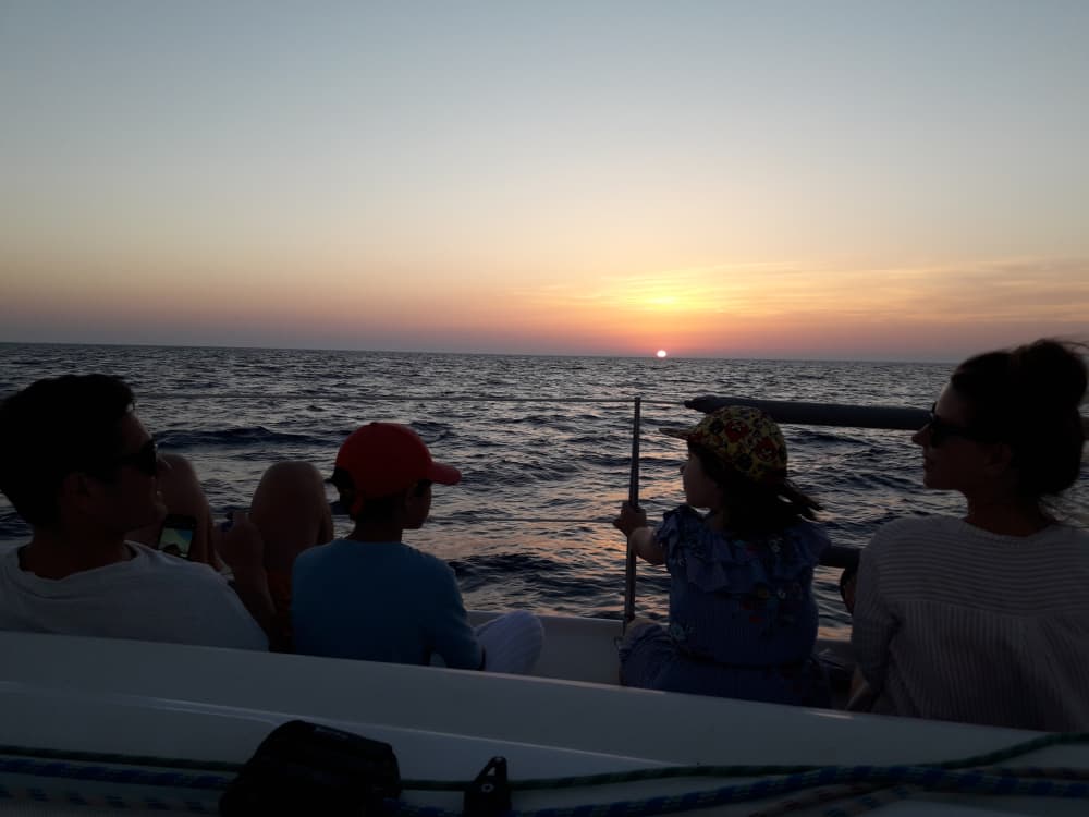 Full-day sailing experience in Vis