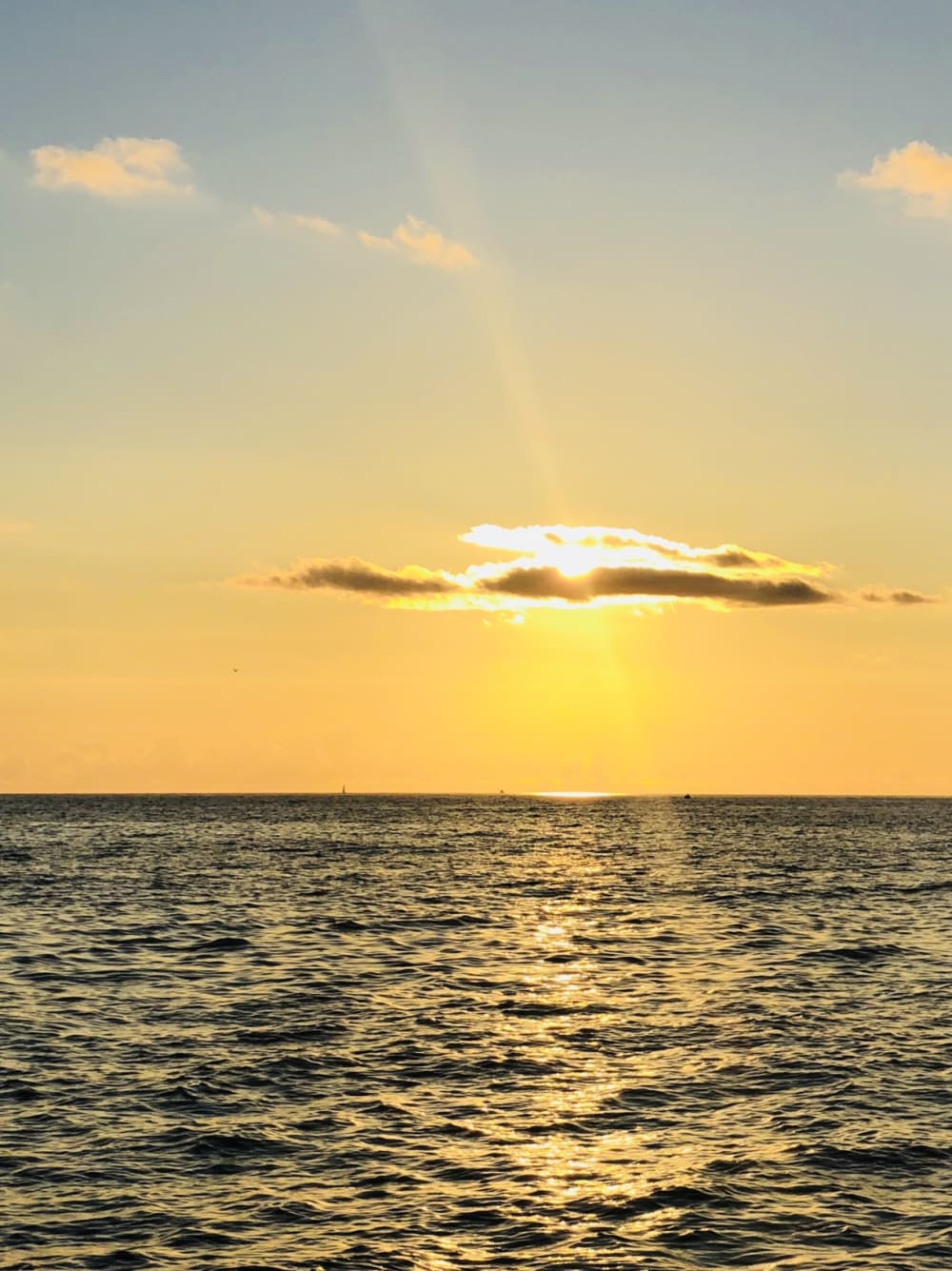 Mar, amor y sol: un día lleno de emociones a bordo de un velero.
