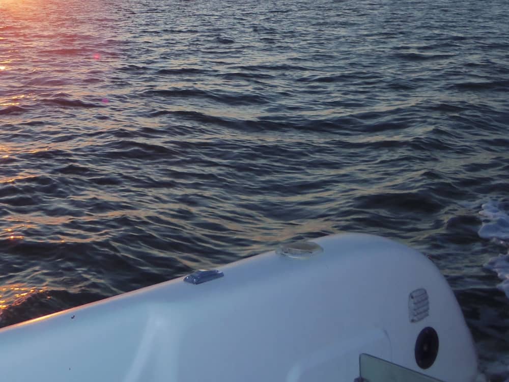 Des souvenirs inoubliables en mer : Passez 8h30 à explorer Les Mathes