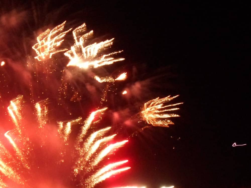 Des souvenirs inoubliables en mer : Passez 8h30 à explorer Les Mathes