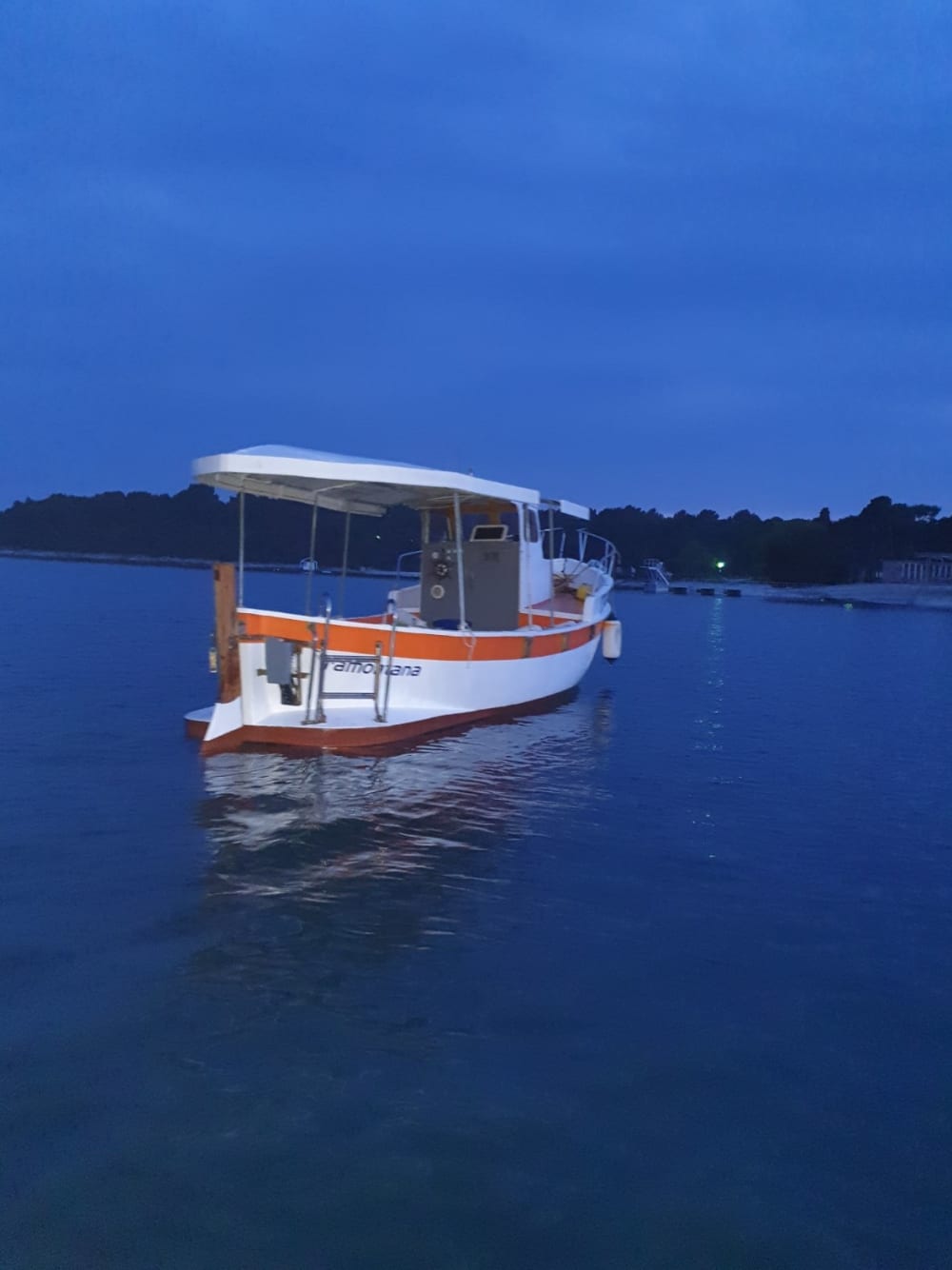 Pula escape: 2h15 of relaxation on a motorboat