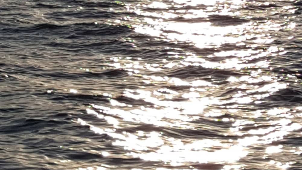 Pula escape: 2h15 of relaxation on a motorboat