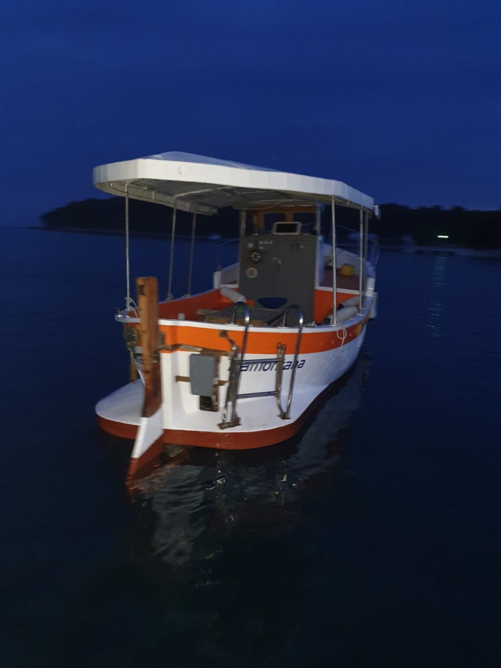 Pula escape: 2h15 of relaxation on a motorboat