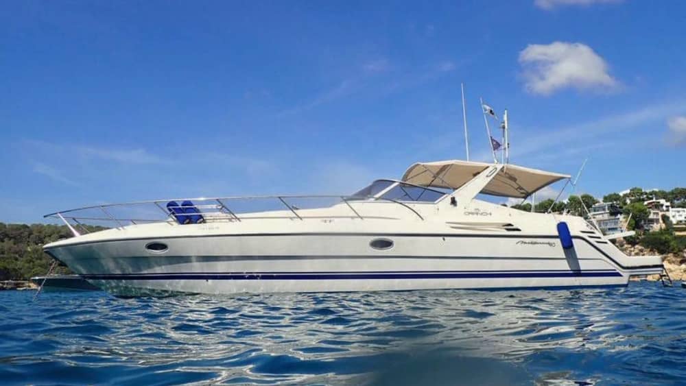 DOLPHIN WATCHING AND PRIVATE EVENTS