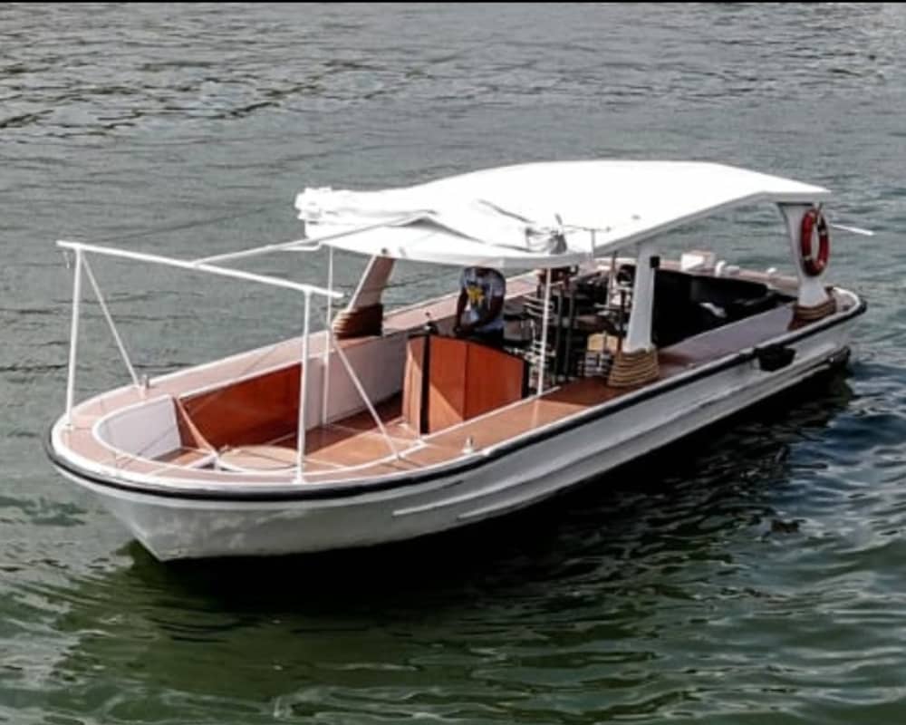 1-godzinny prywatny rejs z Asnières – spokojna ucieczka wokół Île de la Jatte