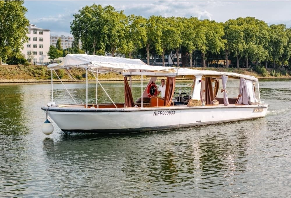 Private Seine-Flusstour: Berühmtes Paris in 60 Minuten