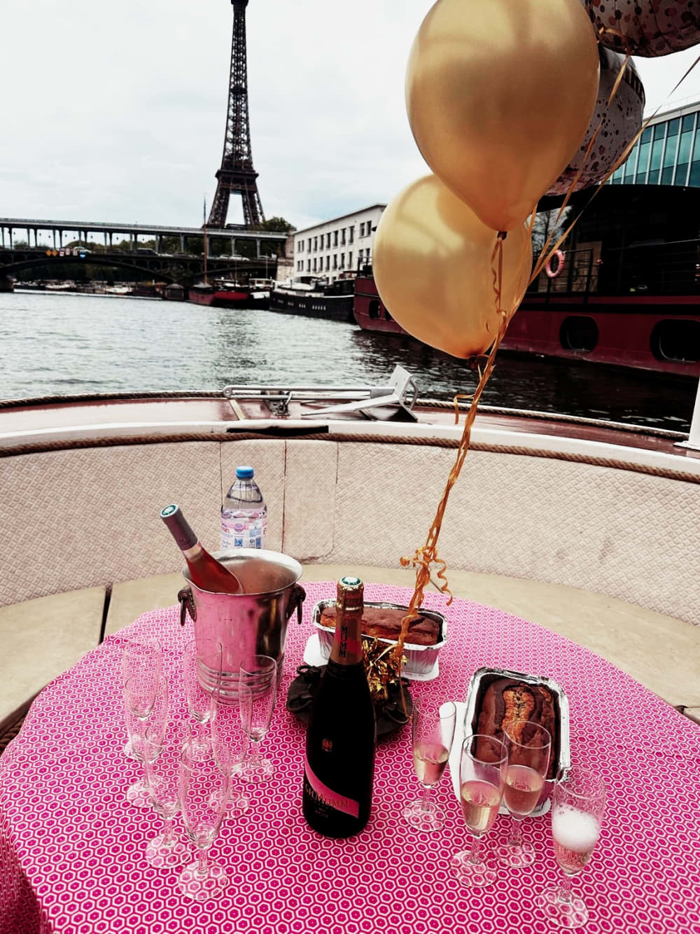 Balade Privée sur la Seine : Paris Iconique en 60 Minutes