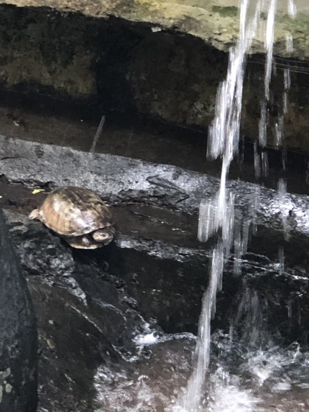 Take 9h to discover the hidden magic of Seychelles from the waves