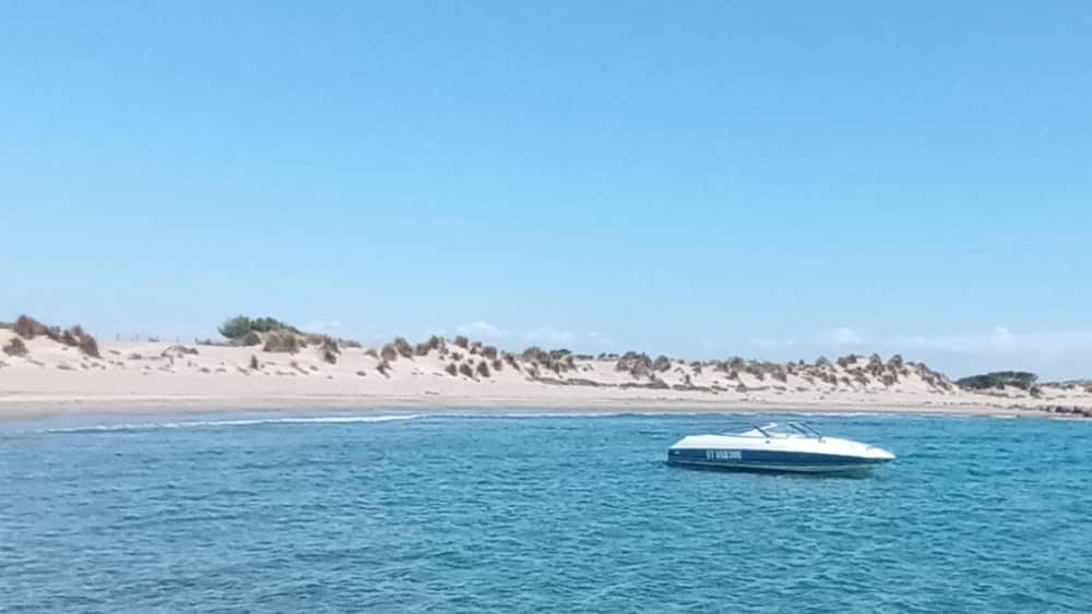 Profitez du soleil lors d'une excursion en bateau de 7h au Grau-du-Roi
