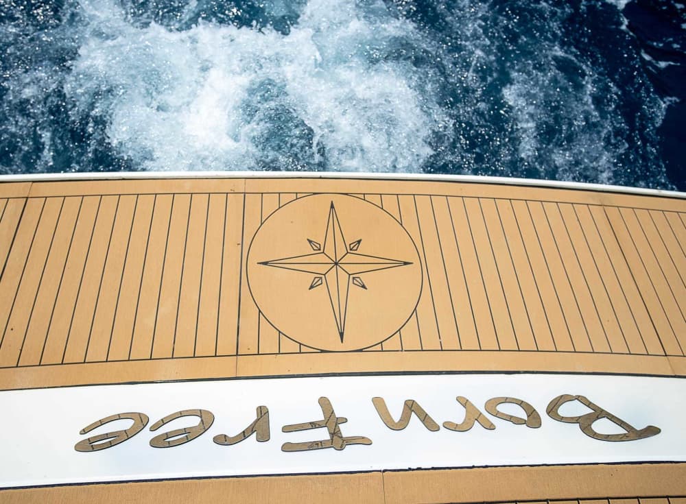 Élégance côtière : croisière privée de Positano à Amalfi