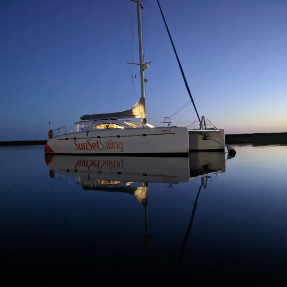 Excursion d'une demi-journée – Explorez la magie de la Ria Formosa