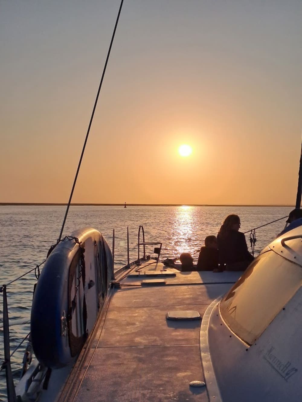 Excursion d'une demi-journée – Explorez la magie de la Ria Formosa