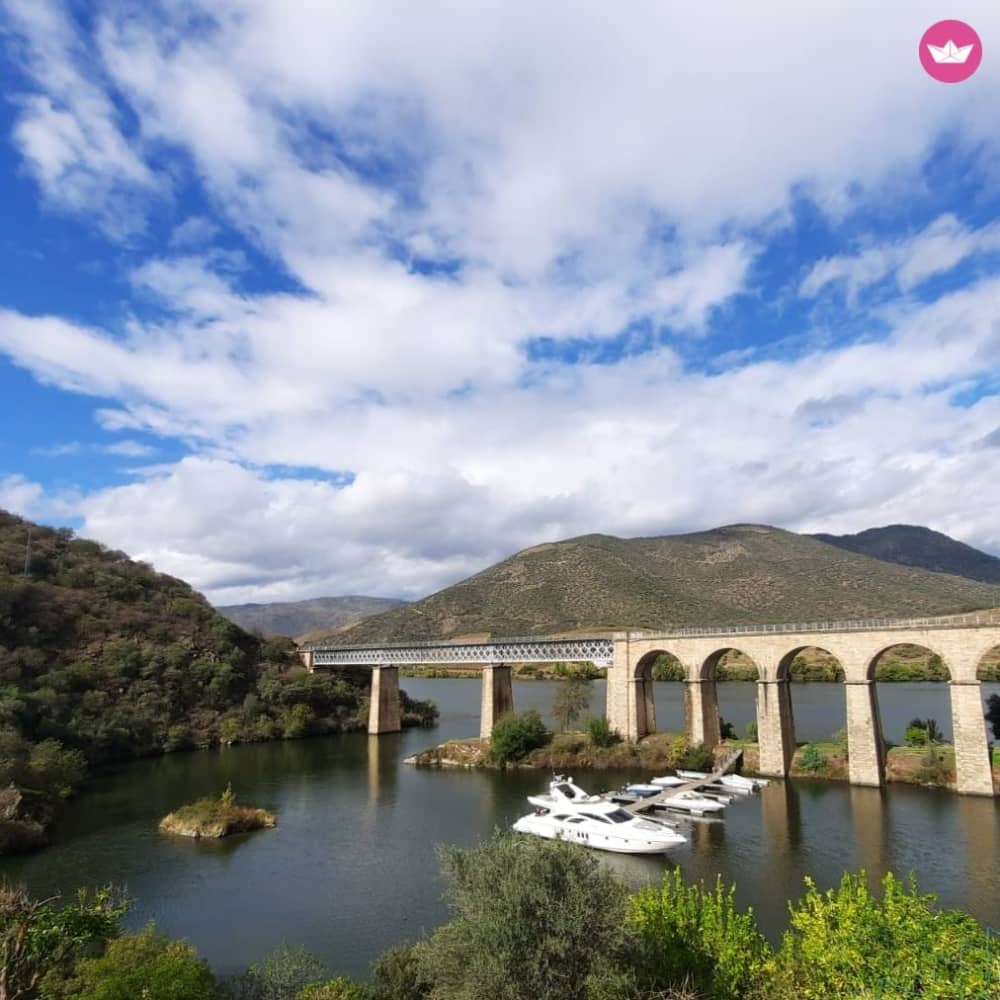 Pontes, Patrimônio e o Mar: Um Cruzeiro de 4 Horas no Porto