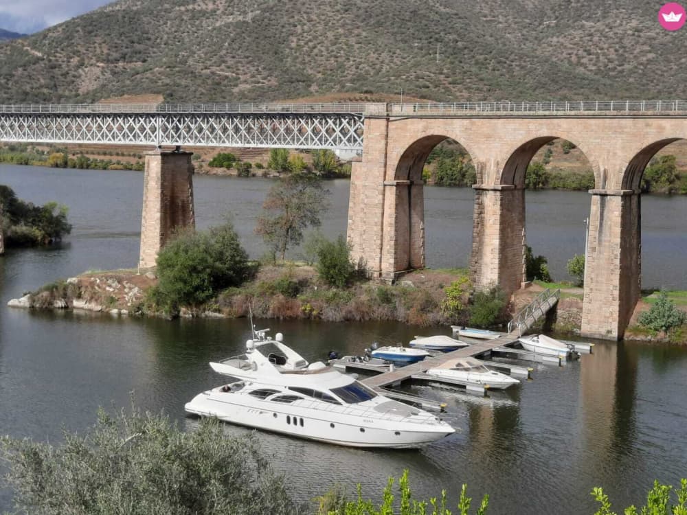 Pontes, Patrimônio e o Mar: Um Cruzeiro de 4 Horas no Porto
