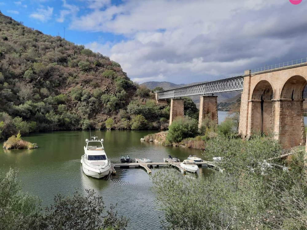 Pontes, Patrimônio e o Mar: Um Cruzeiro de 4 Horas no Porto