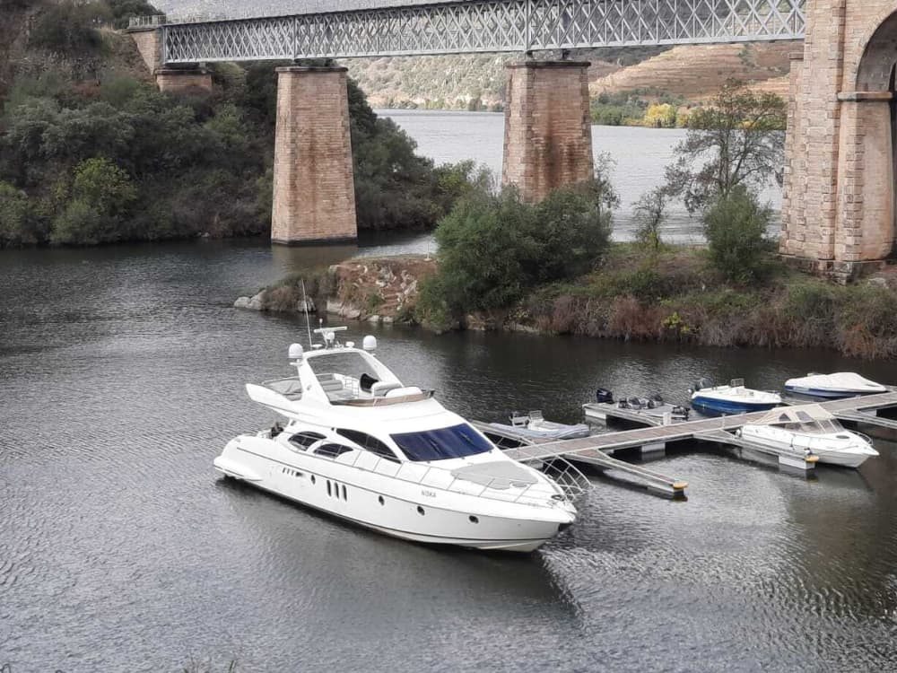 Pontes, Patrimônio e o Mar: Um Cruzeiro de 4 Horas no Porto