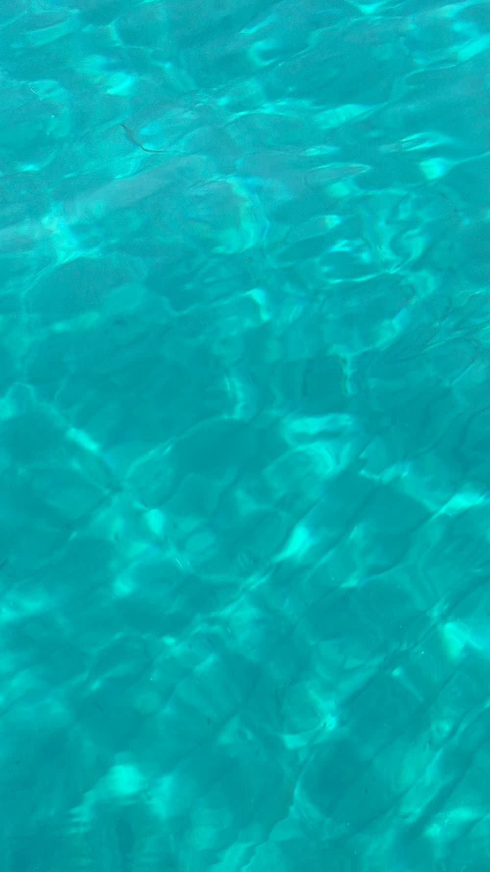 Half-day aboard Calyp2o to discover the French Riviera