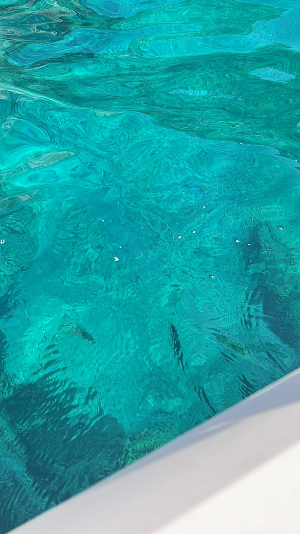 Half-day aboard Calyp2o to discover the French Riviera