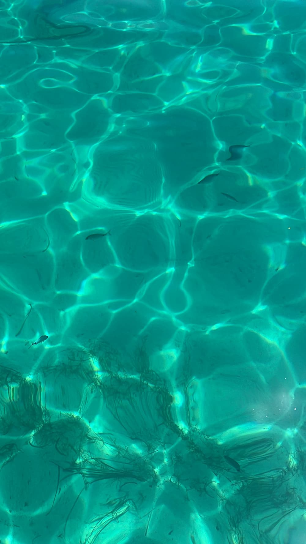 Half-day aboard Calyp2o to discover the French Riviera