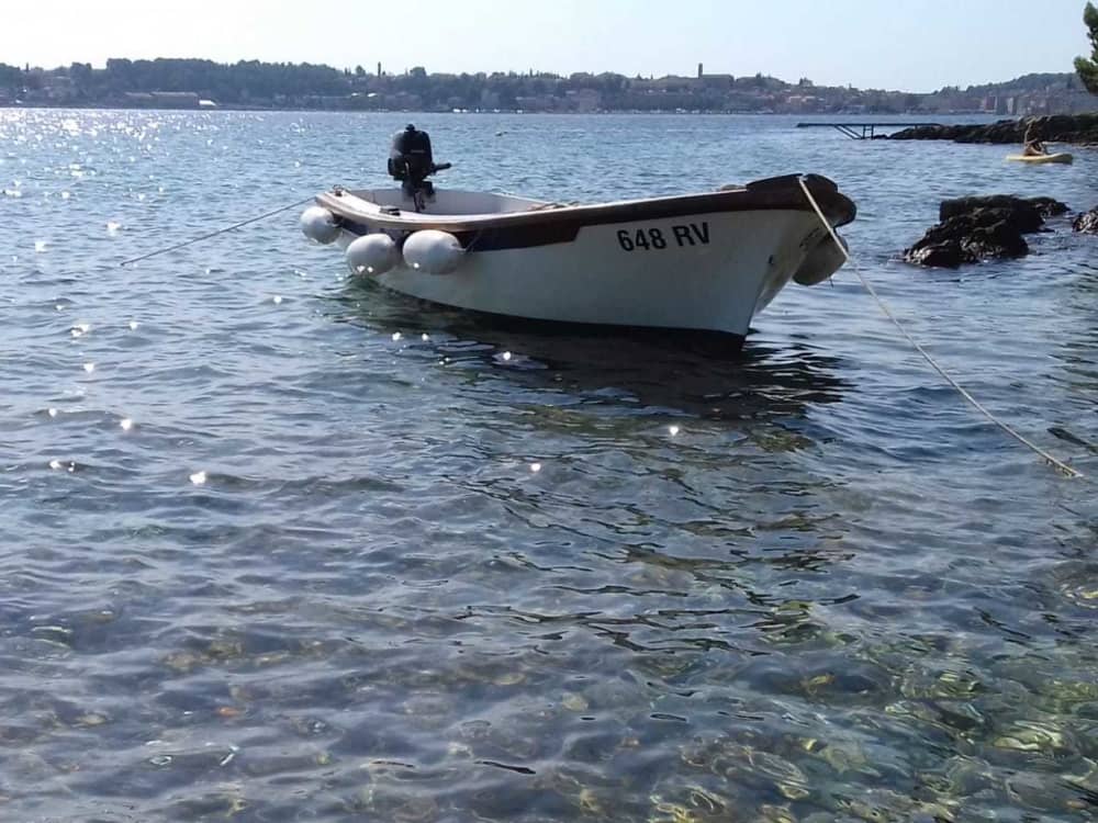 2-stündiges Schnorchel- und Schwimmabenteuer: Tauchen Sie ein in das kristallklare Wasser der Adria
