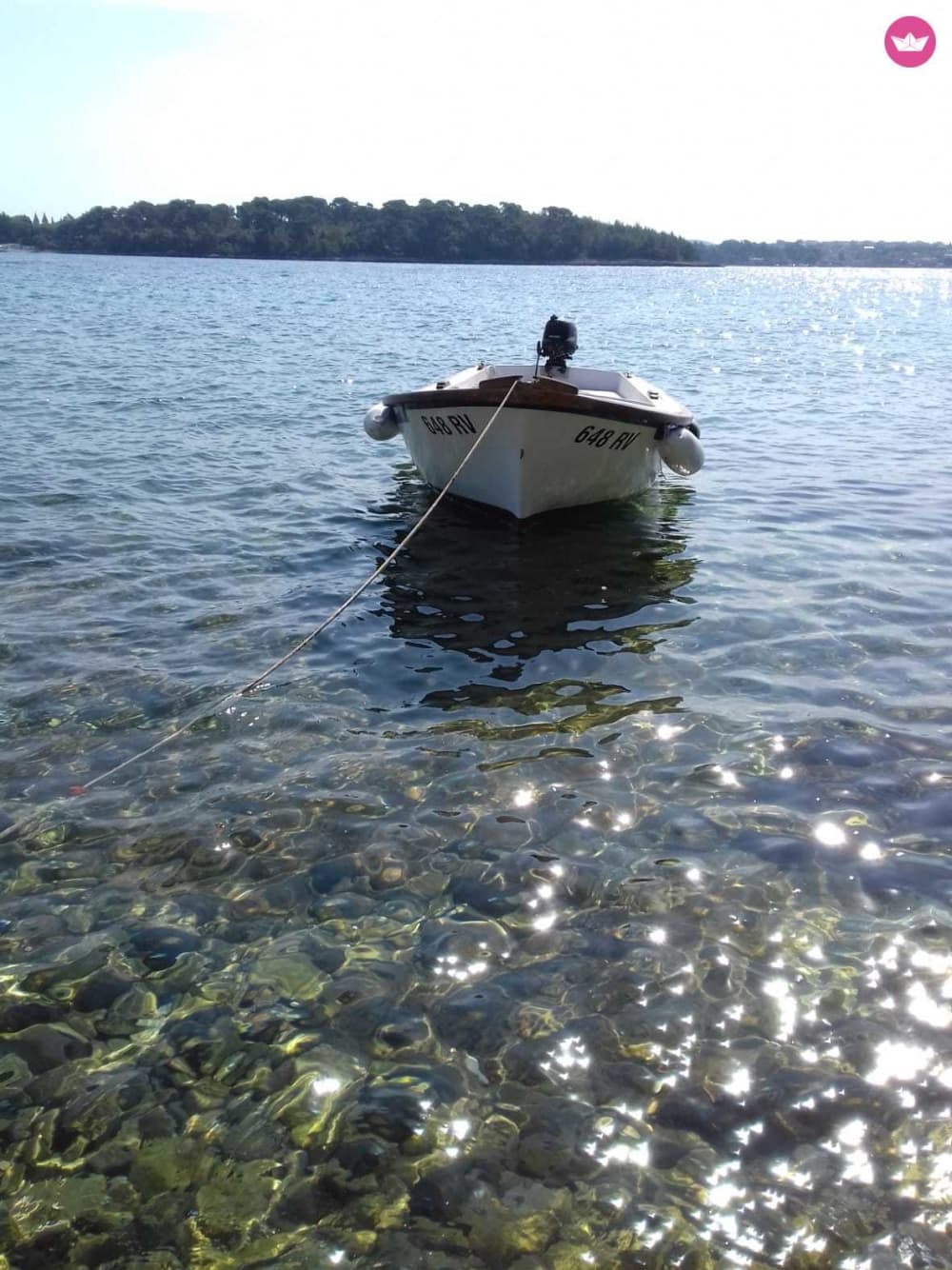 2-stündiges Schnorchel- und Schwimmabenteuer: Tauchen Sie ein in das kristallklare Wasser der Adria
