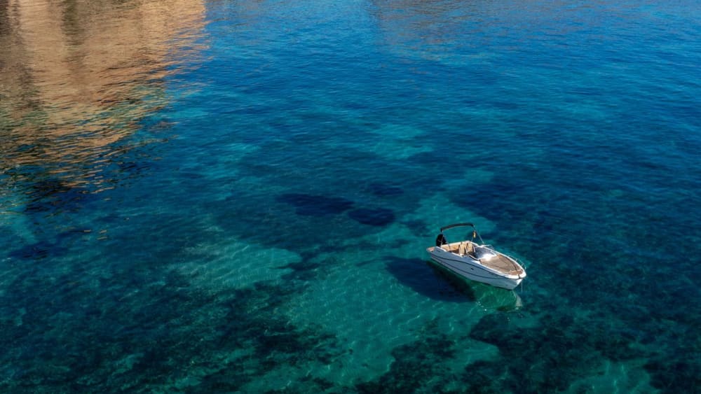 Navegación de medio día por lo mejor de la Costa Blanca.
