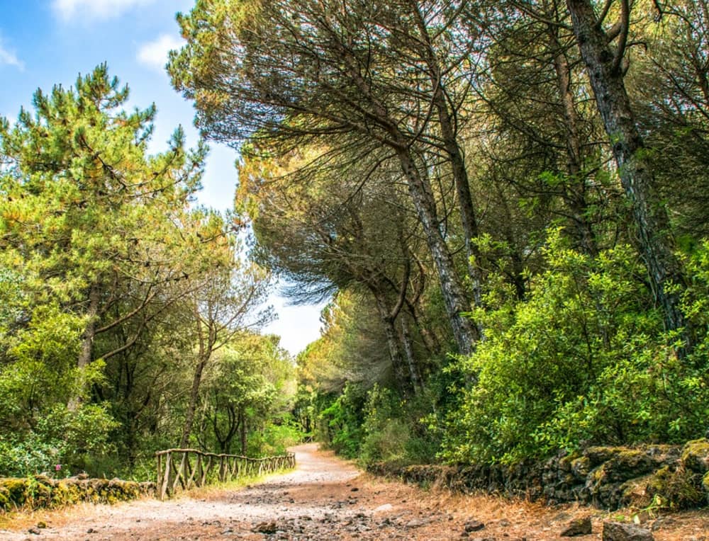 Mount Vesuvius Hike & Sorrento Coast Sailing Experience