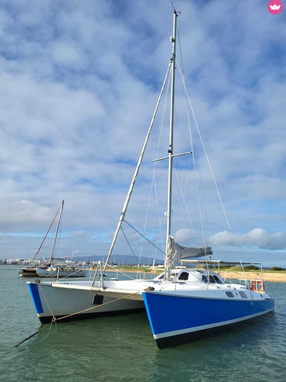 Crucero en catamarán de 4 horas por el Algarve desde Ferragudo