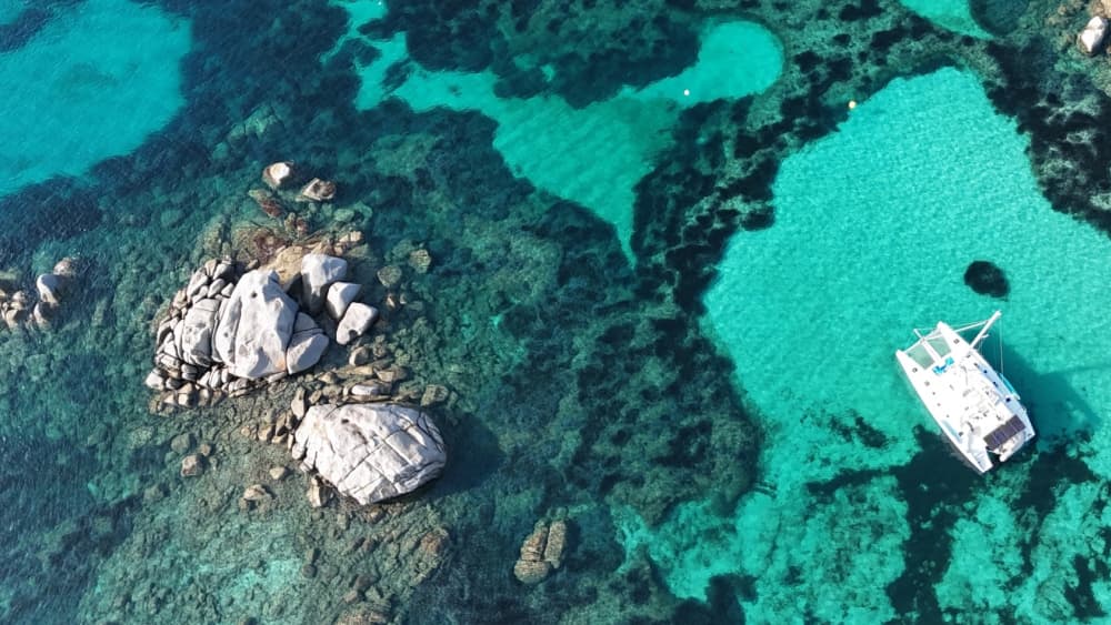 Goditi un'intera giornata su un catamarano a Bonifacio