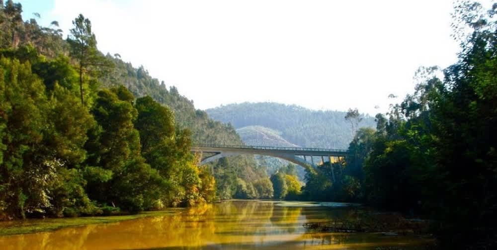 Expedición de día completo por el río Duero: playas, esclusas e Isla del Amor