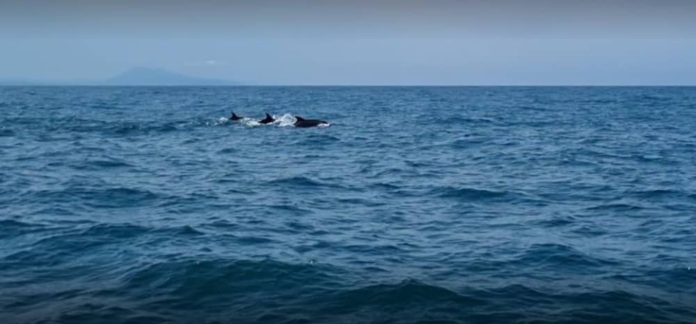 Découverte d'Anglet en demi-journée : Votre courte escapade en bateau à moteur