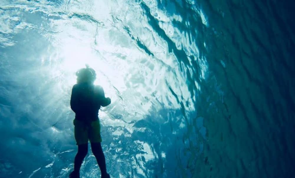 Esplora Bayahibe in barca: una giornata intera sull'acqua a bordo di un motoscafo.