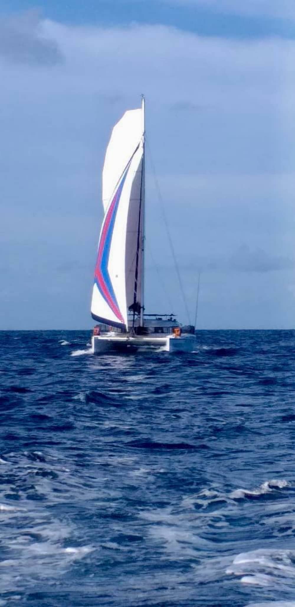 Explore Salvador and enjoy a full day of sailing on a catamaran