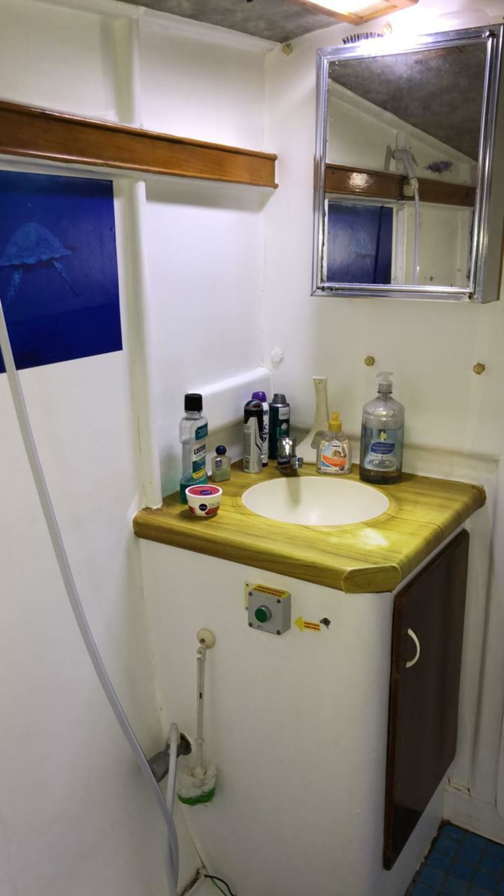 Explore Salvador and enjoy a full day of sailing on a catamaran