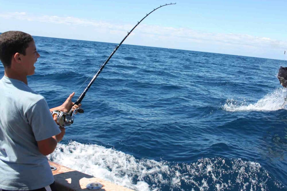 Profitez d'une excursion de 9 heures en bateau à moteur pour explorer Playa San Juan.