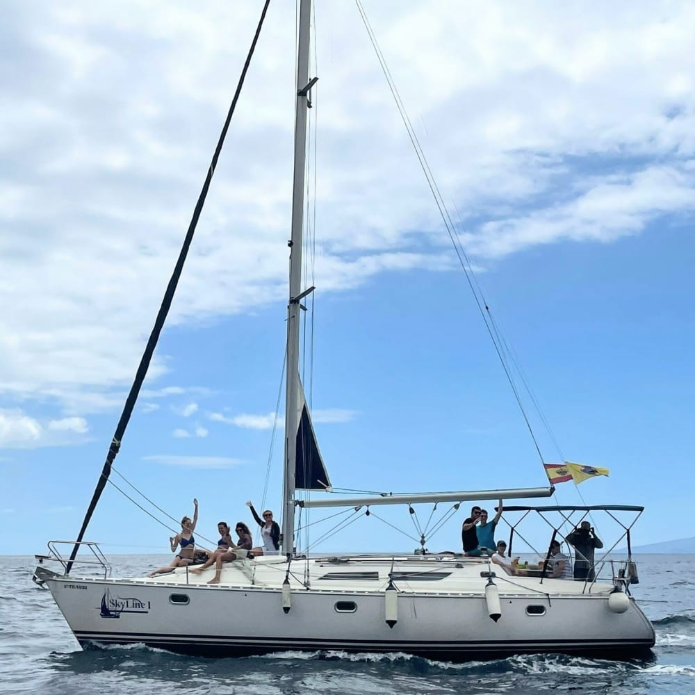 Profitez d'une journée complète de navigation à Costa Adeje en voilier.