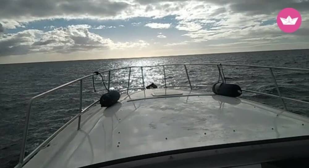 4-hour boat tour to Playa de Güi Güi from Puerto de Mogán