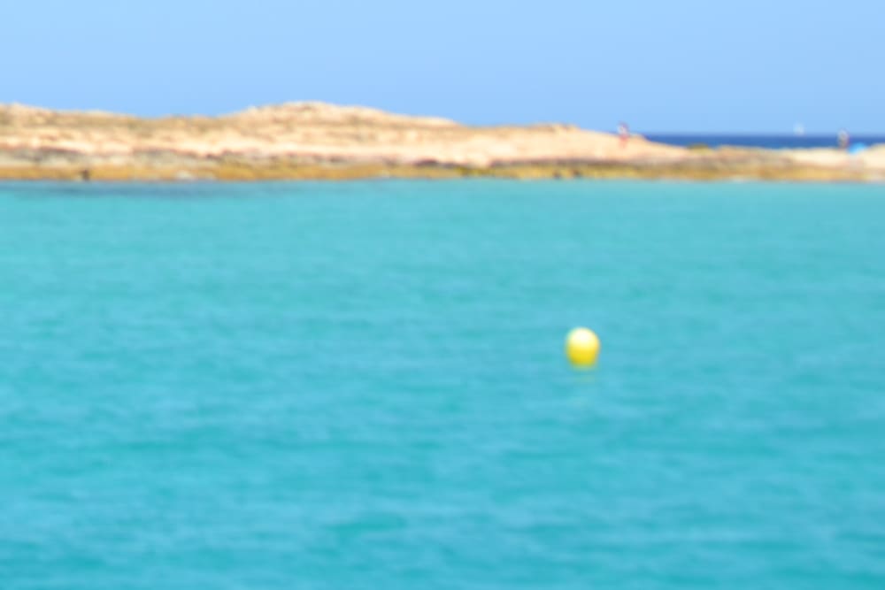 Paraíso balear: escapada de día completo a Formentera o Es Vedrà