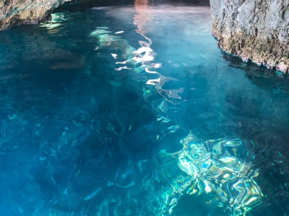 Full-Day Cruise to the North or South with Swim Stops and Scenic Views