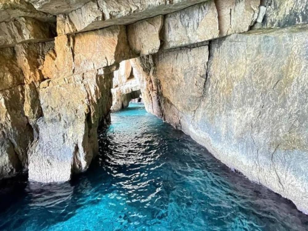 Full-Day Cruise to the North or South with Swim Stops and Scenic Views