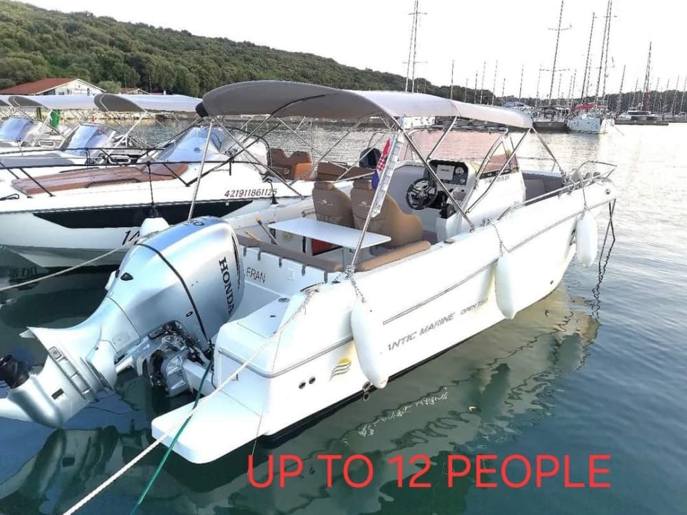 Delfinbeobachtungserlebnis bei Sonnenuntergang in Pula