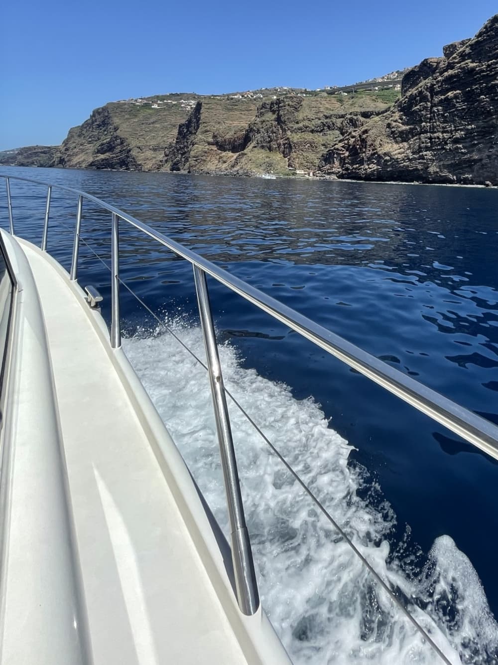 Una giornata magica a Madeira a bordo di un motoscafo.