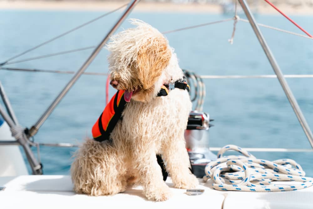10 ώρες ήλιου και τιρκουάζ νερά γύρω από το Κοραλέχο