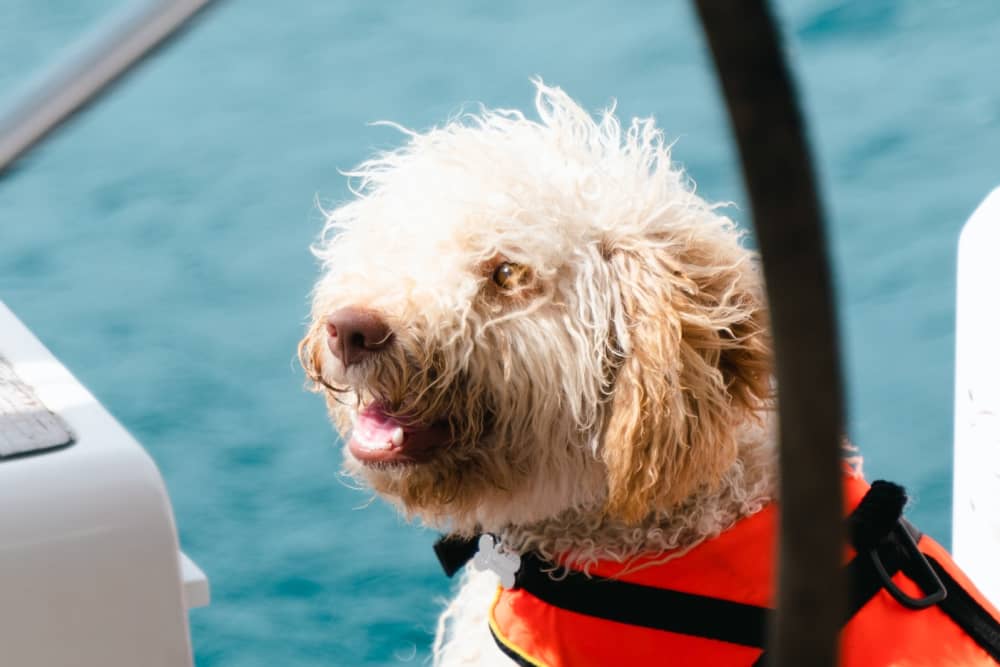 10 ώρες ήλιου και τιρκουάζ νερά γύρω από το Κοραλέχο