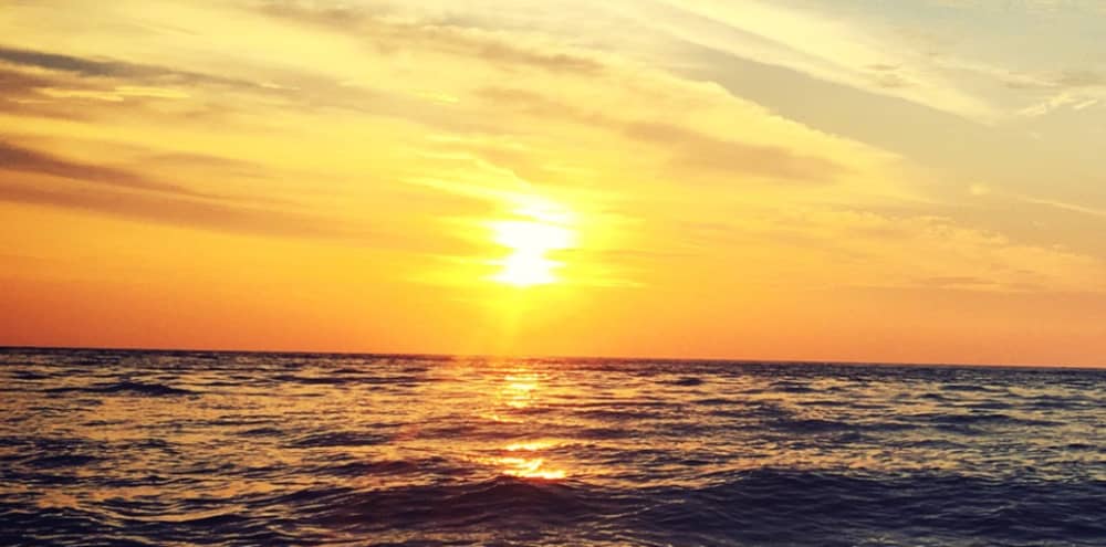 Hora dorada en el Duero: crucero fluvial al atardecer de 3 horas