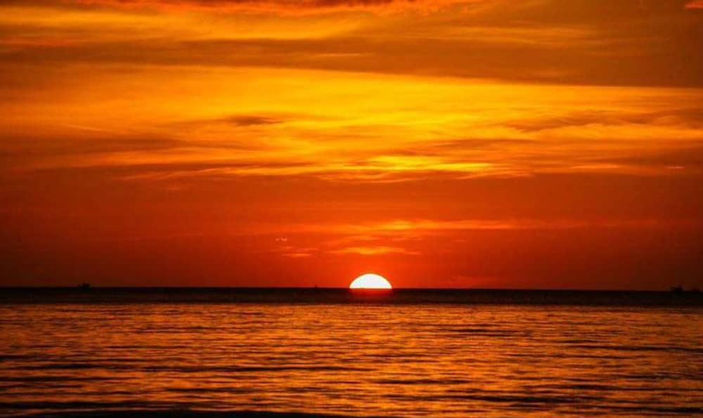 Hora dorada en el Duero: crucero fluvial al atardecer de 3 horas