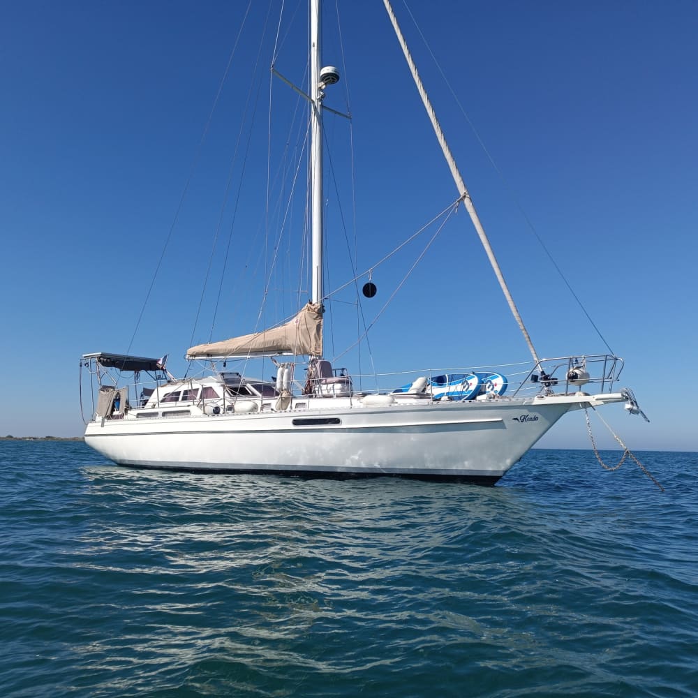 Des souvenirs inoubliables en mer : Passez 9h à explorer Port Camargue