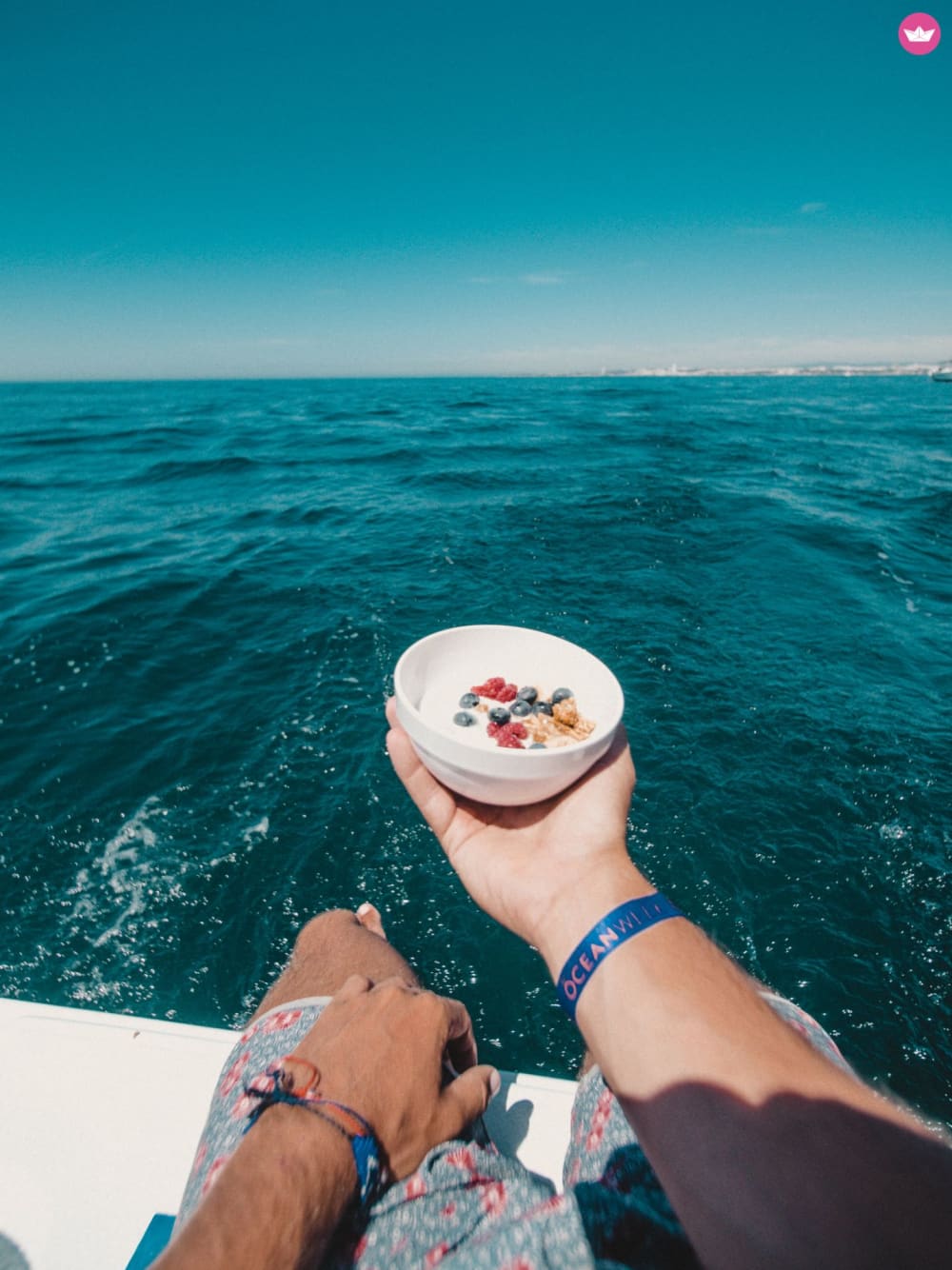 Portimão: Półdniowy katamaran premium