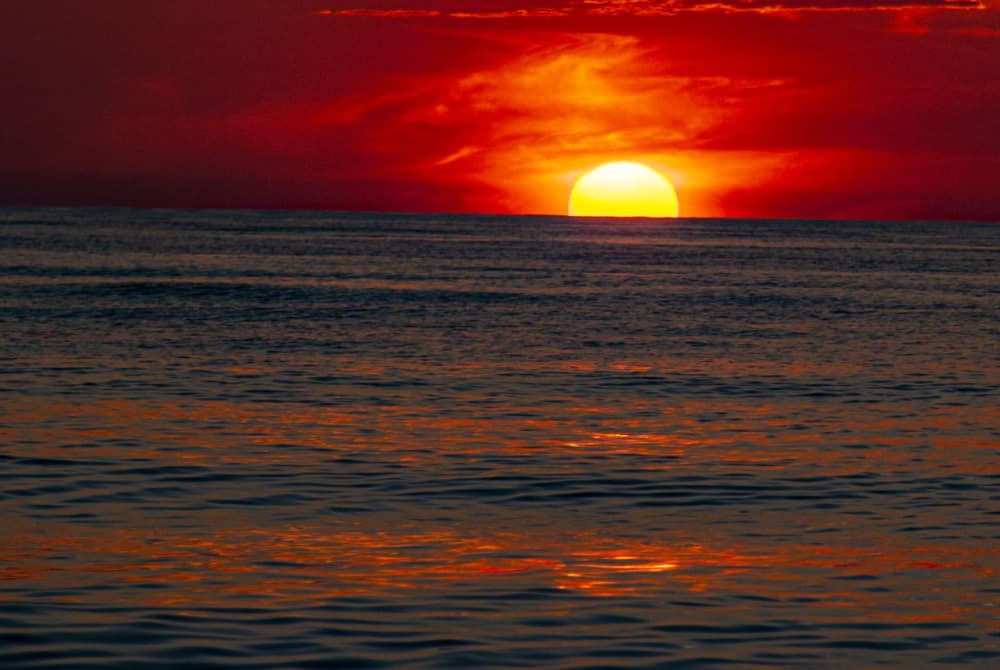 Heldagskustresa till Cala Grande