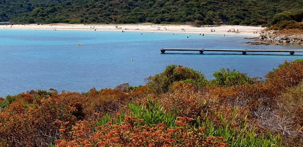 Your magical day on a sailboat!